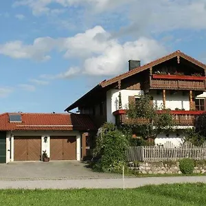  Apartment Nitzinger